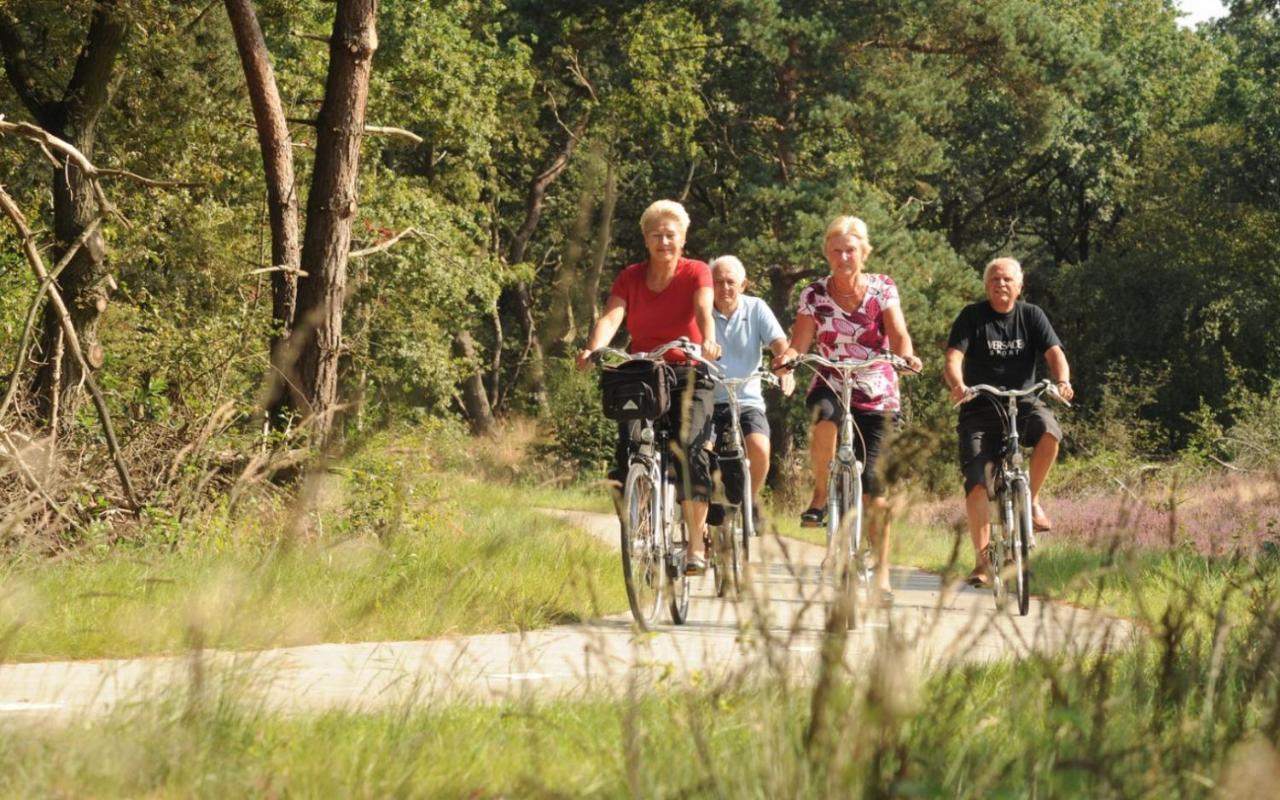 Sfeervolle chalet met terras, H14 De Veldkamp, Epe, voor 4 personen Villa Buitenkant foto